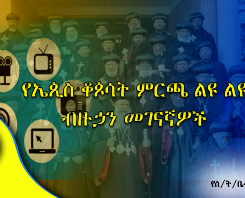 የኤጲስ ቆጶሳት ምርጫ ልዩ ልዩ ብዙኃን መገናኛዎች