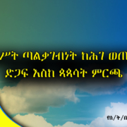 የመንግሥት ጣልቃገብነት ከሕገ ወጡ ቡድን ድጋፍ እስከ ጳጳሳት ምርጫ