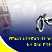 የዩክሬን ኦርቶዶክስ ቤተ ክርስቲያን ሊቀ ጳጳስ ዮናታን እስር